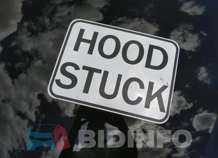 WBA8E3G56GNU02350 Photo# 10