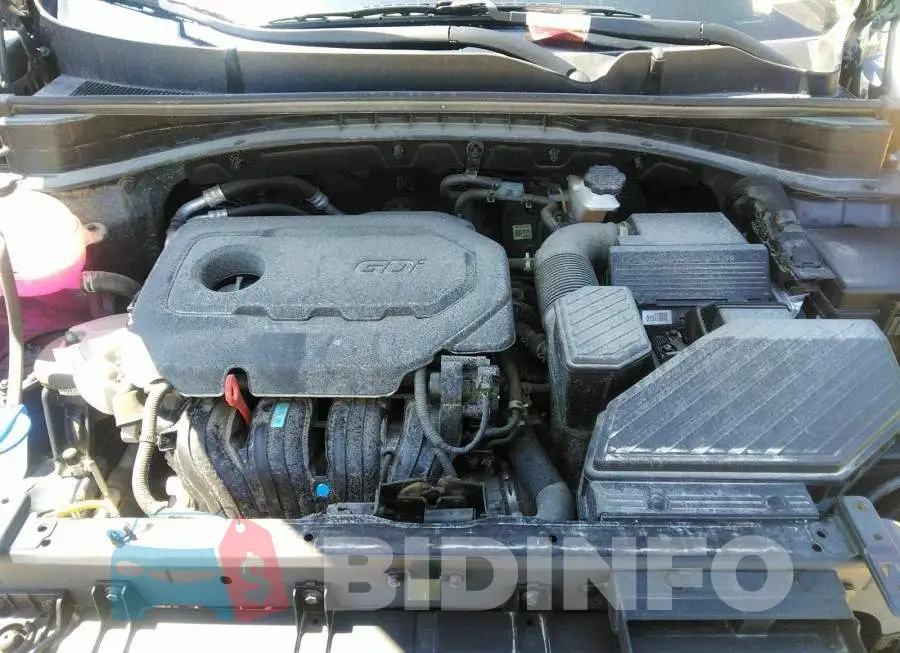 KNDPM3AC7M7945490 Photo# 10