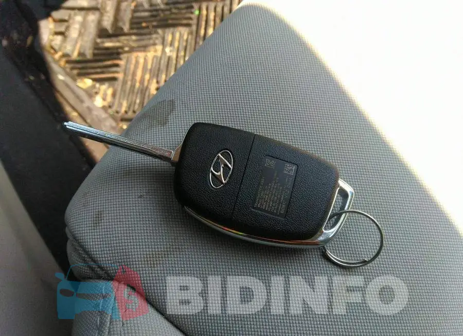 5NPE24AF1FH124784 Photo# 11