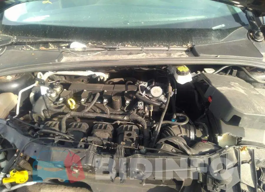 1FADP3H2XJL248265 Photo# 10