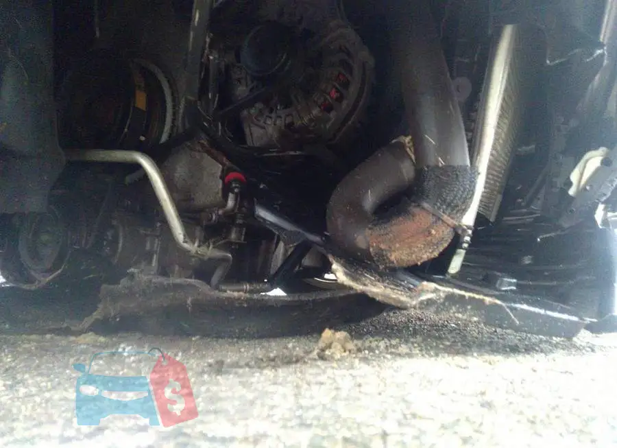 1FADP3N20JL253379 Photo# 6