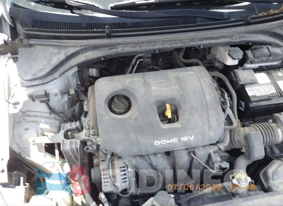 KMHD84LF6HU391267 Photo# 8