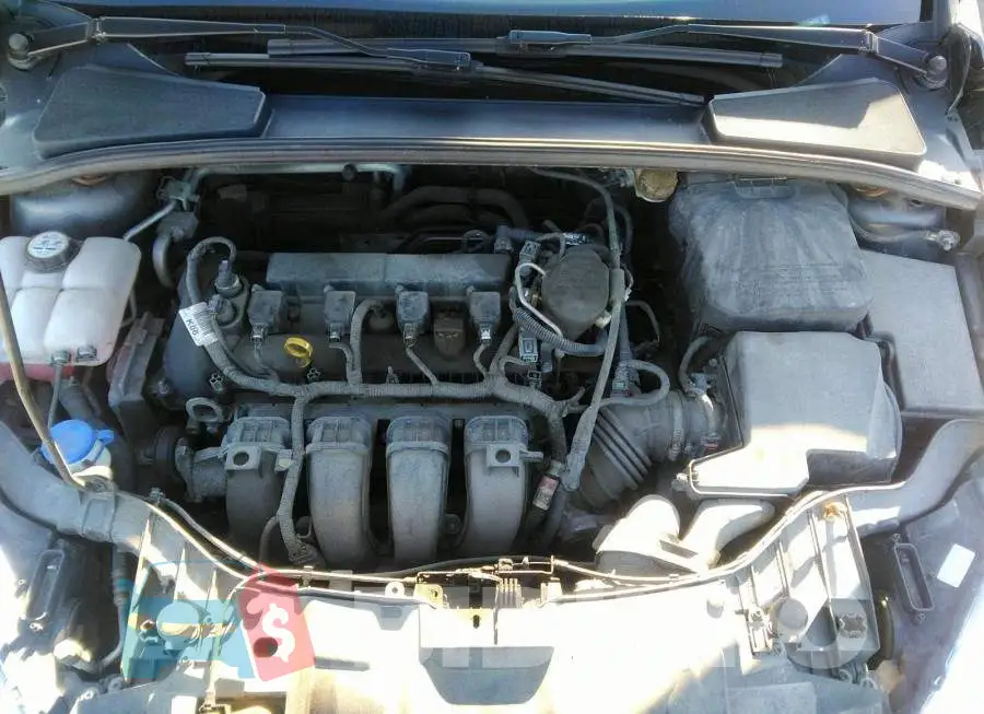 1FADP3K29FL320413 Photo# 10