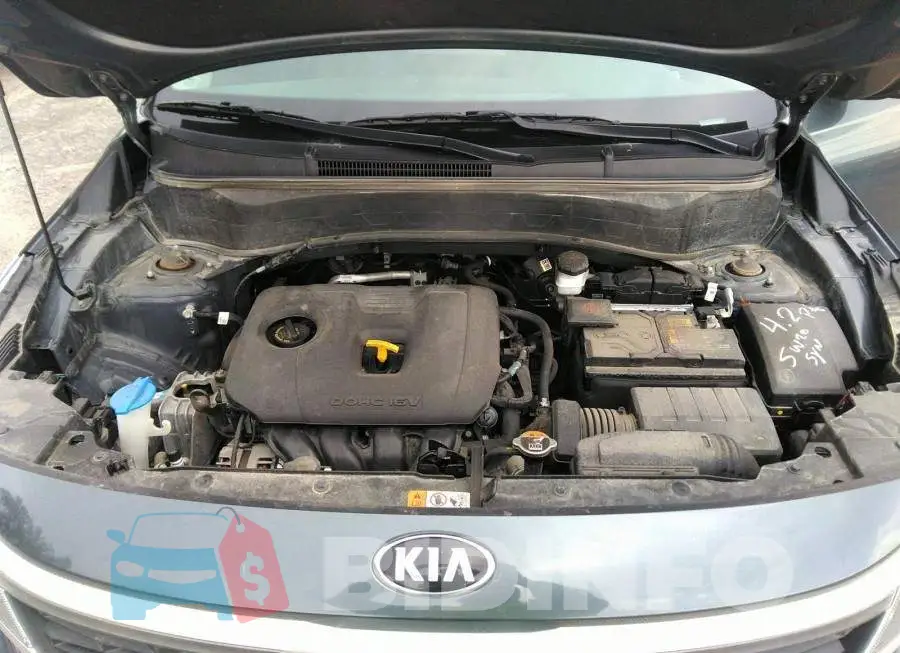 KNDERCAA3M7111160 Photo# 10