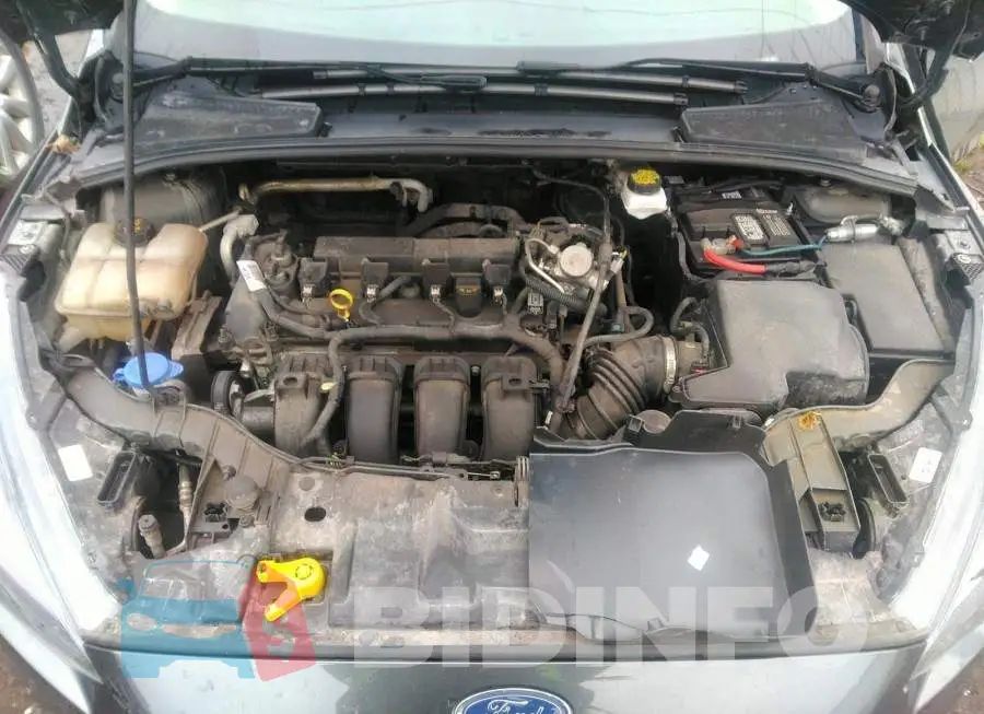 1FADP3M24JL253855 Photo# 10
