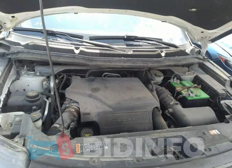 1FM5K8GT9HGA18512 Photo# 10