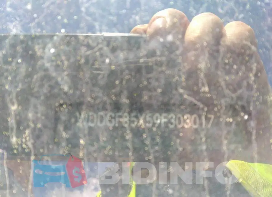 WDDGF85X59F303017 Photo# 9