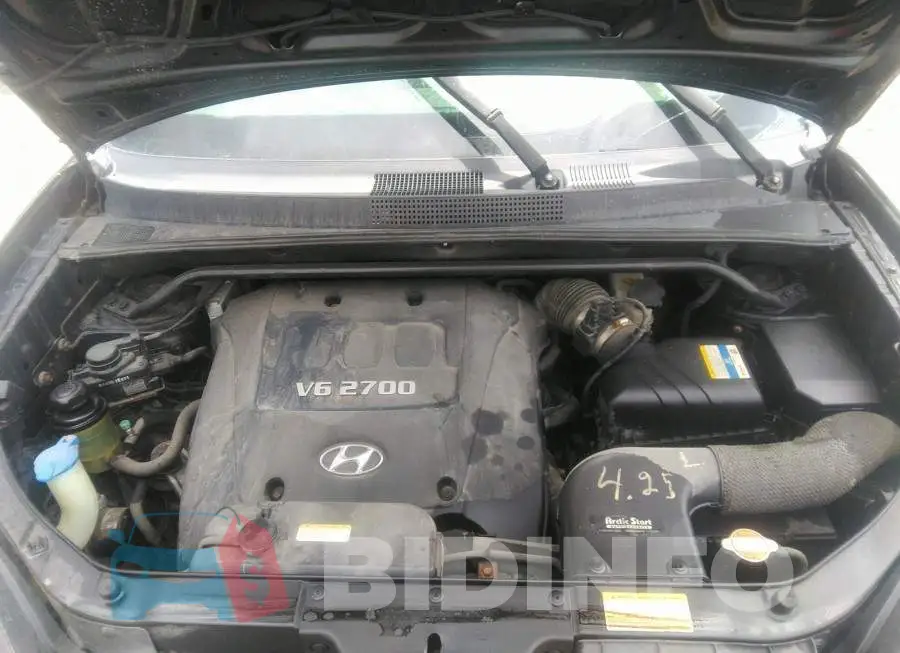 KM8JM12D87U532383 Photo# 10