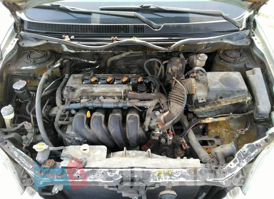 2T1LR30EX6C552183 Photo# 10