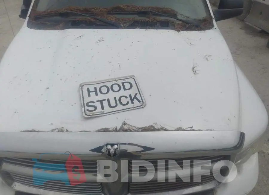 3D7LS38C65G864387 Photo# 10