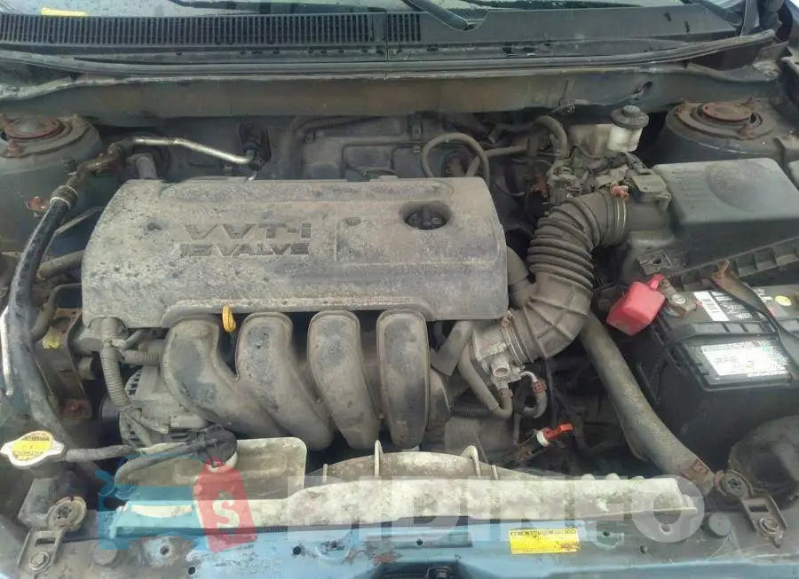 2T1KR32E65C911777 Photo# 10