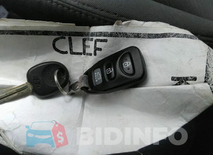 5NPDH4AE3DH324113 Photo# 11