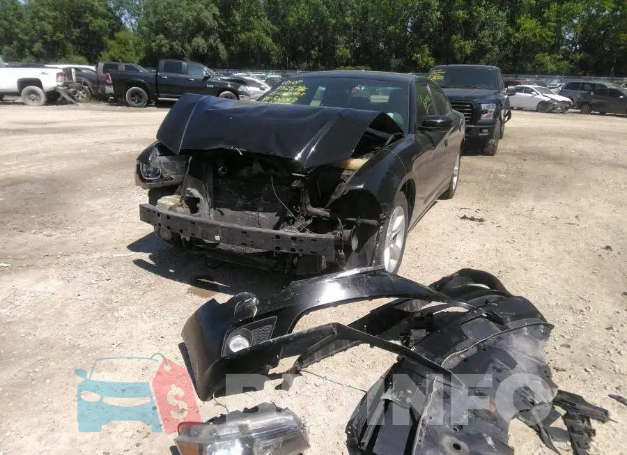 2C3CDXBG6DH502067 Photo# 6