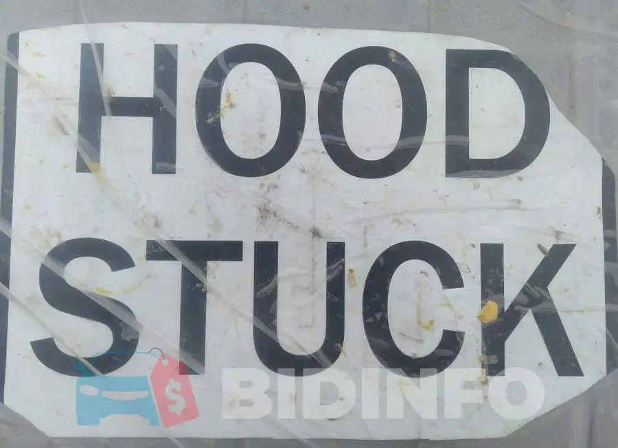 3GCUKSEC8GG101528 Photo# 10