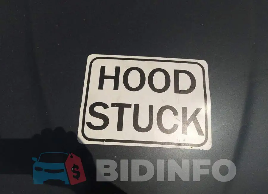 5TDZK23C37S018809 Photo# 10
