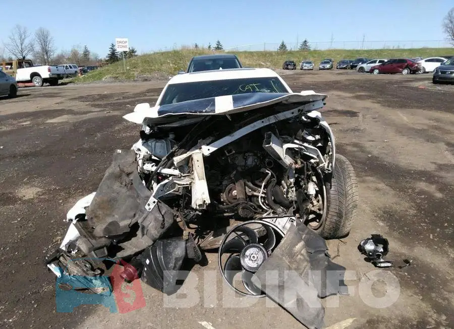 1G1FB1RX4H0148294 Photo# 6