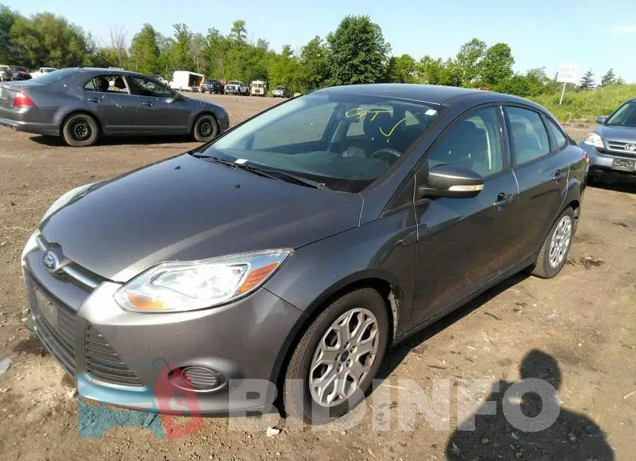 1FADP3F24DL146791 Photo# 2