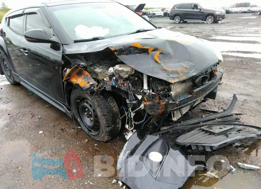 KMHTC6AE8DU139241 Photo# 6