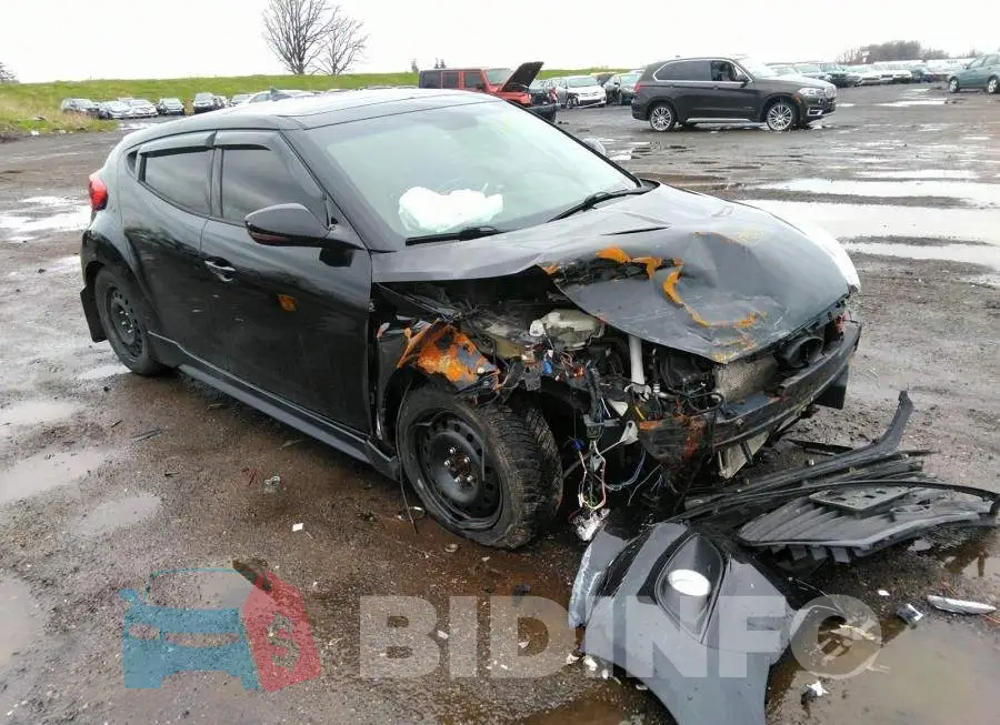 KMHTC6AE8DU139241 Photo# 1