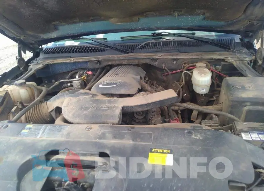 3GNEK12T65G141355 Photo# 10