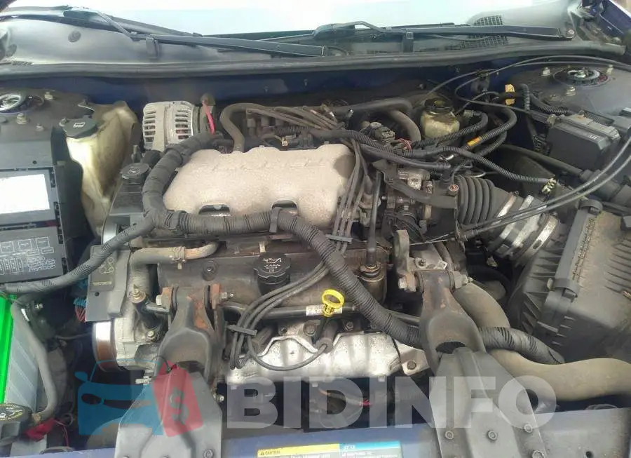 2G1WF52EX59385815 Photo# 10