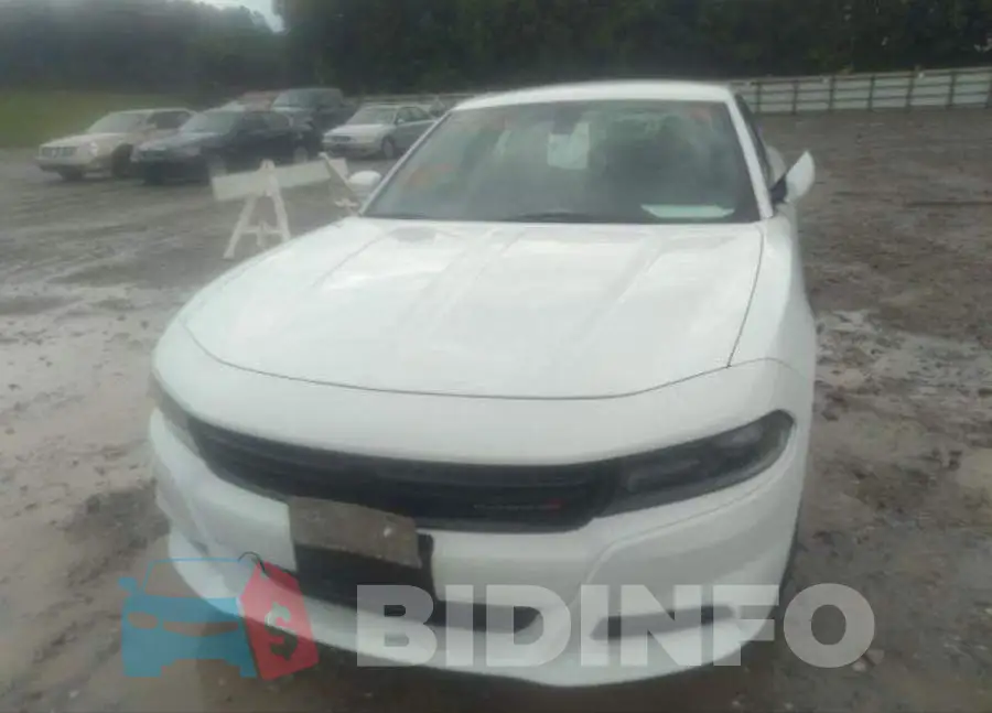 2C3CDXBG2KH612837 Photo# 7