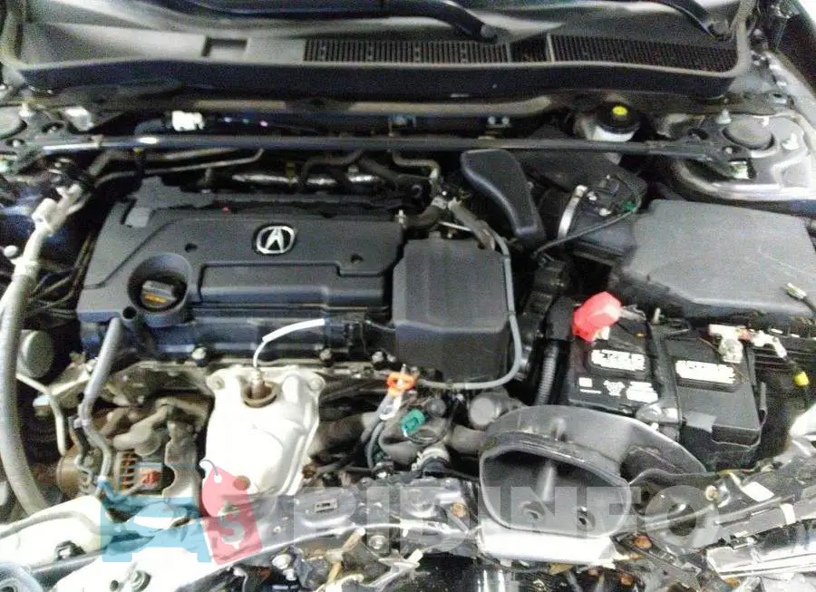 19UUB1F50JA801352 Photo# 10