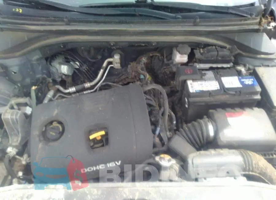 KMHD84LF4HU251203 Photo# 10