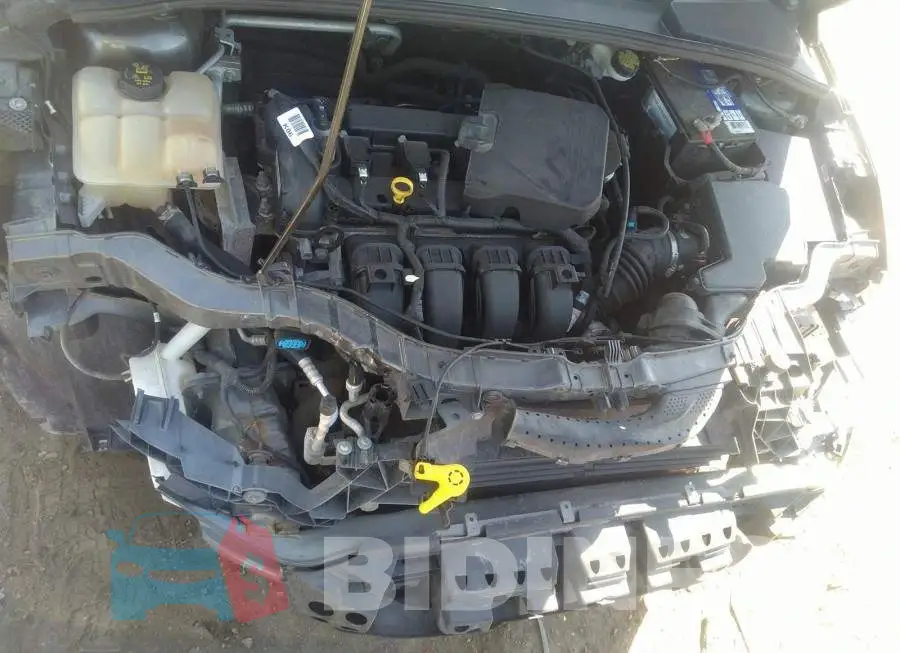 1FADP3K29GL206543 Photo# 10