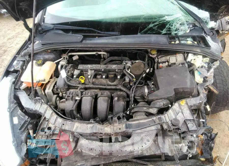 1FADP3F24FL266223 Photo# 10