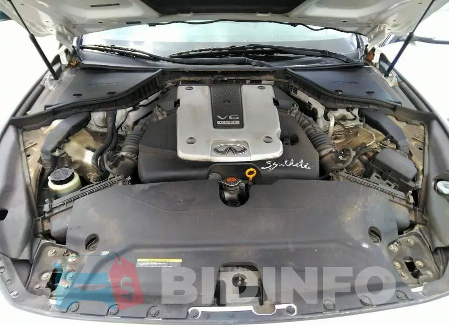 JN1BV7AR1FM401254 Photo# 10