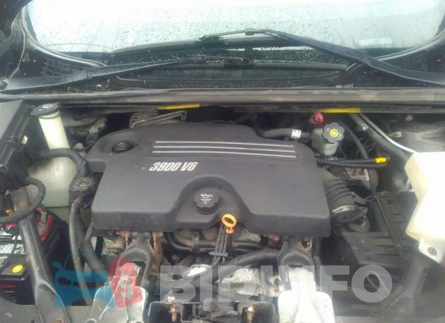 1GNDU23189D105551 Photo# 10