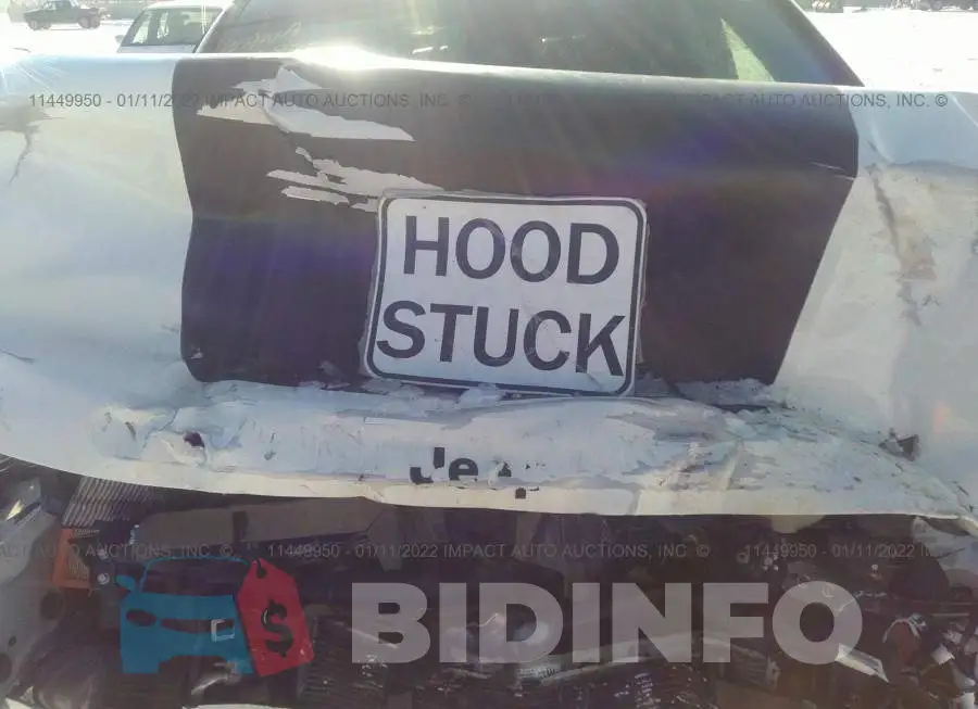 3C4NJDDB5JT493409 Photo# 10