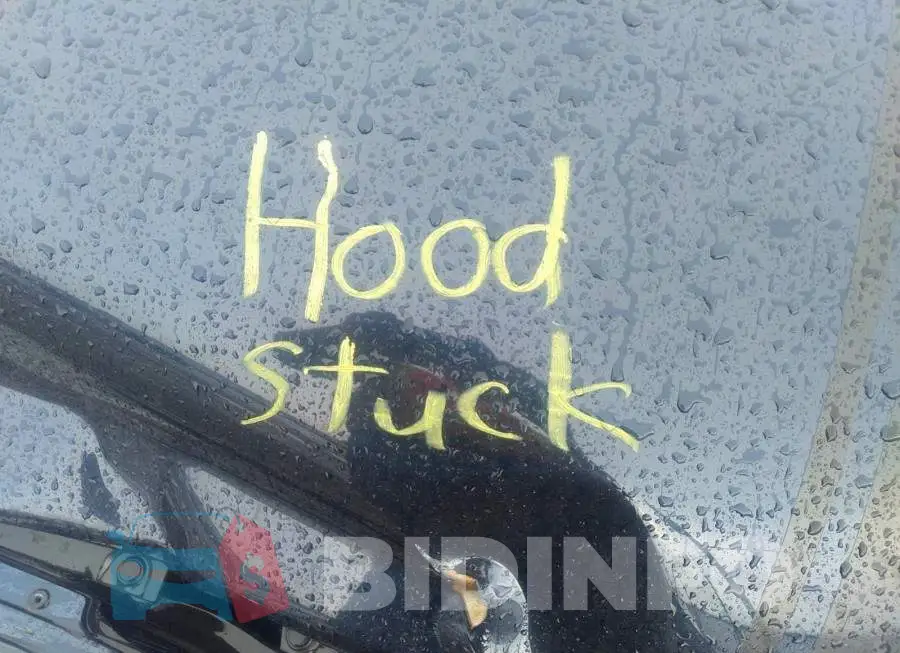 3MZBM1V77FM148643 Photo# 10