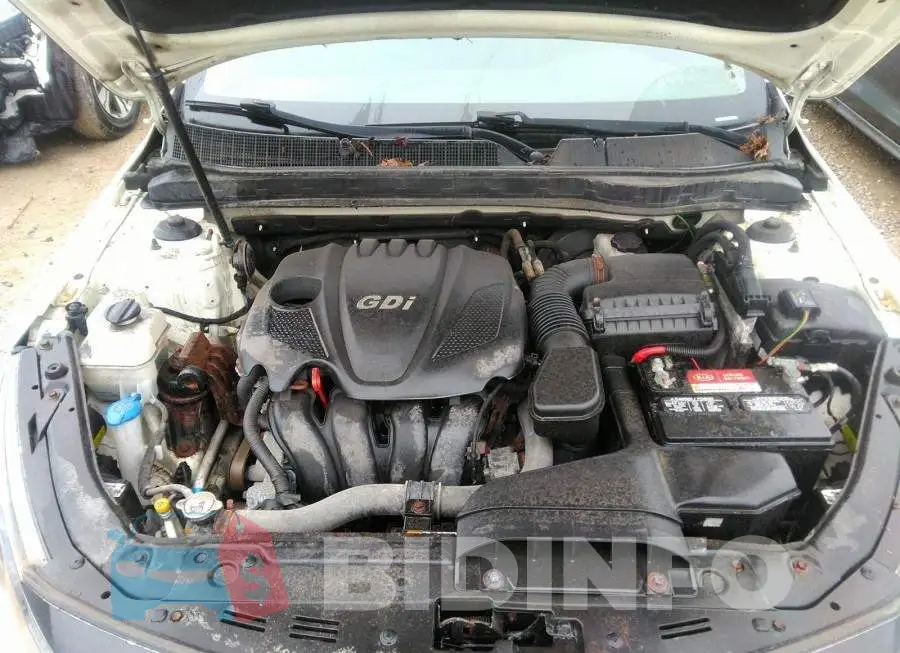 KNAGN4A73D5434180 Photo# 10