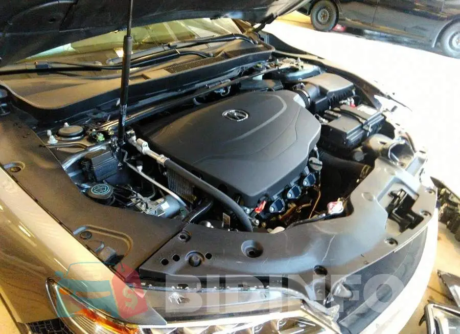 19UUB3F53HA801352 Photo# 10