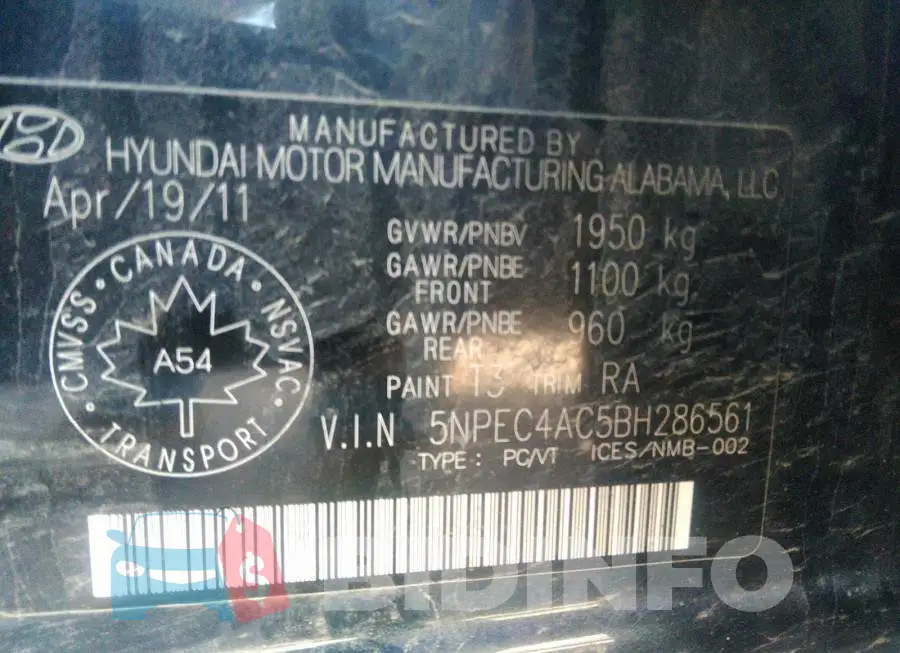 5NPEC4AC5BH286561 Photo# 9