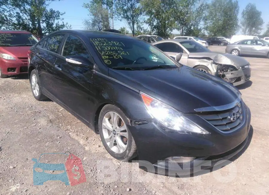 5NPEC4AC5BH286561 Photo# 1