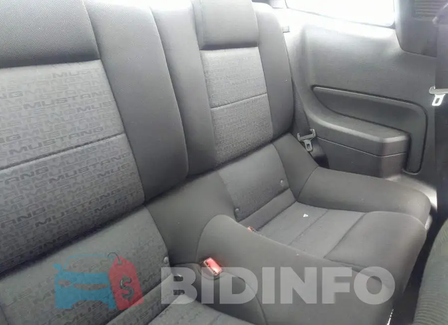1ZVFT80N255217729 Photo# 8