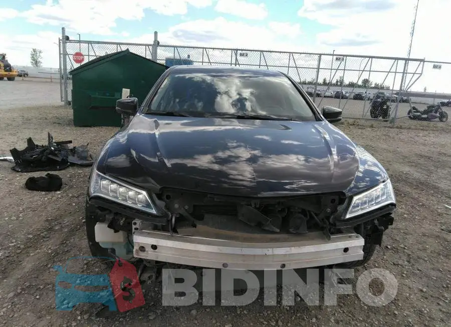 19UUB3F5XGA800049 Photo# 6