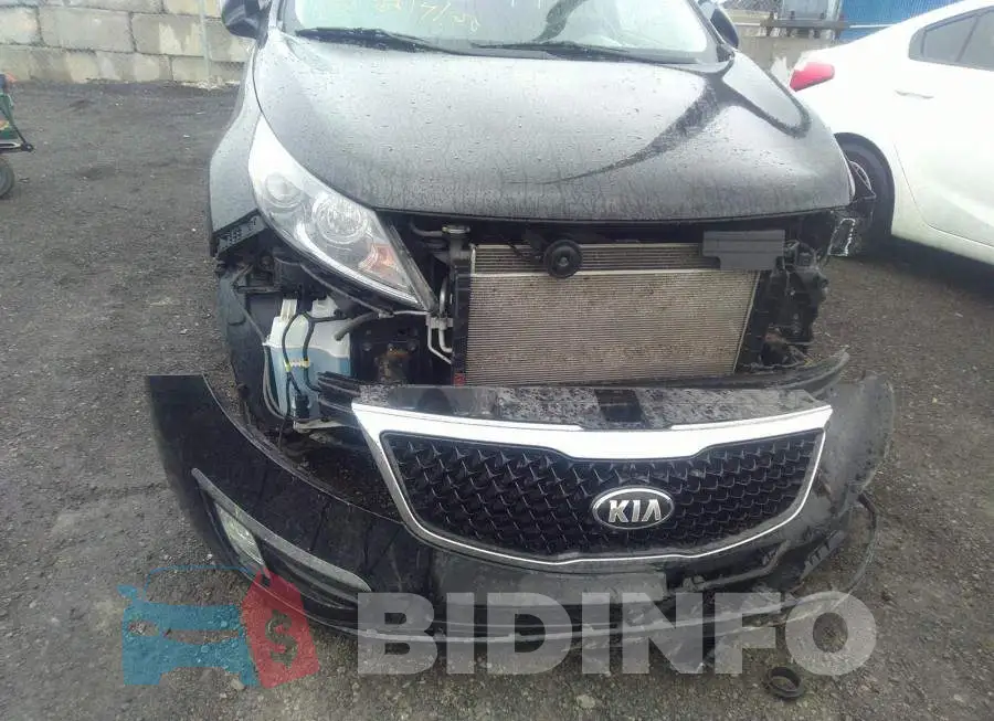 KNDPB3AC2G7804093 Photo# 6