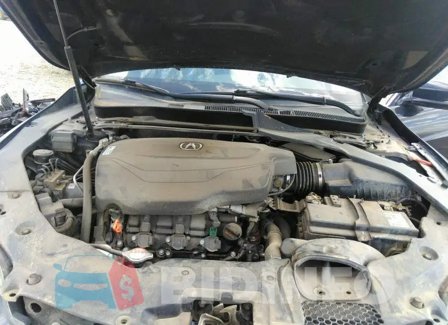 19UUB3F5XGA800049 Photo# 10