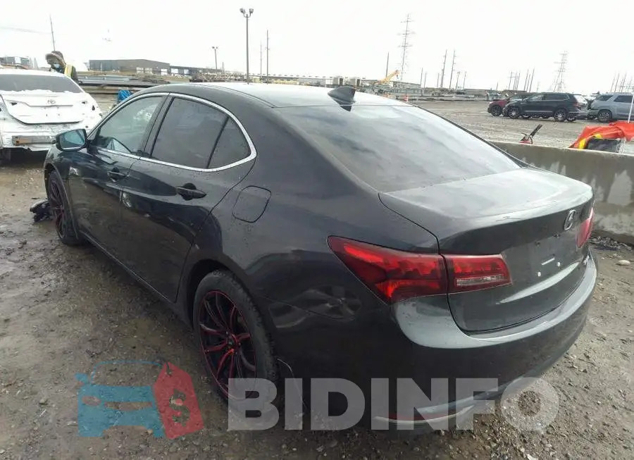 19UUB3F56FA801262 Photo# 3