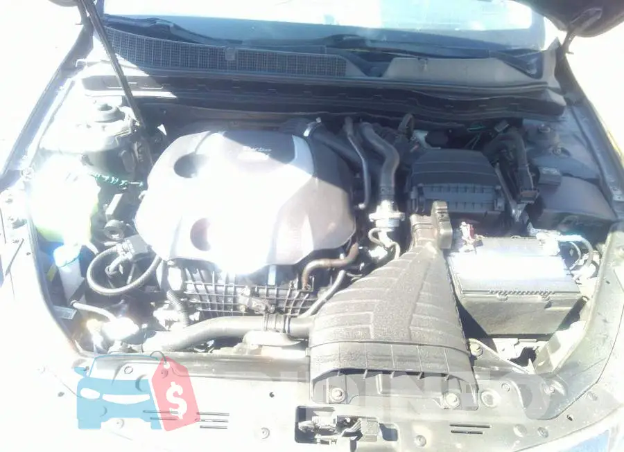 KNAGR4A62E5458662 Photo# 10