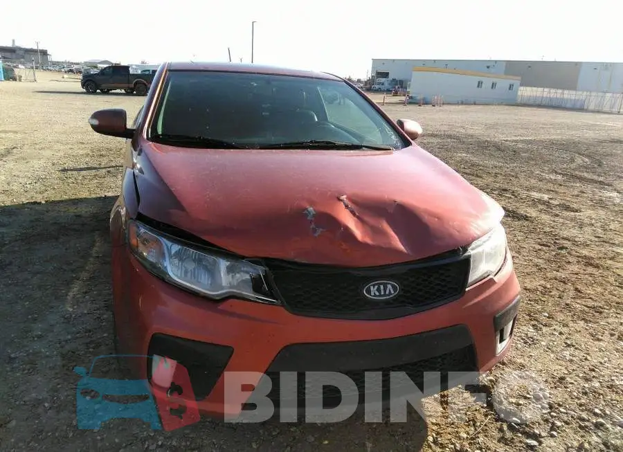 KNAFW6A36A5290427 Photo# 6
