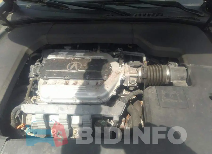 19UUA8F50BA800103 Photo# 10