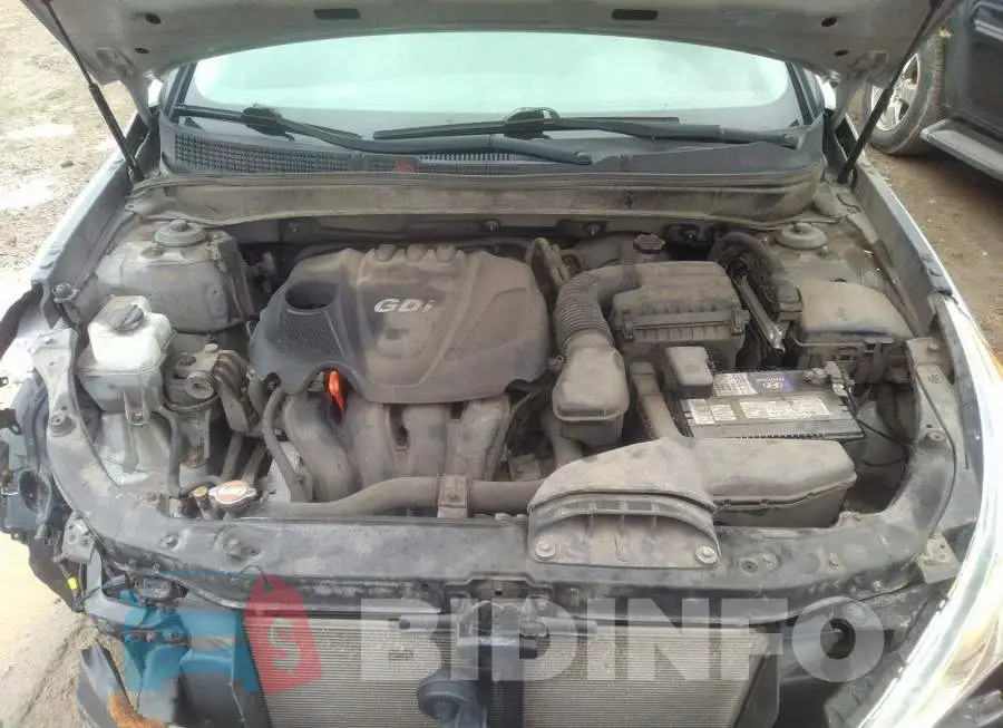 5NPEC4AC3BH305107 Photo# 10
