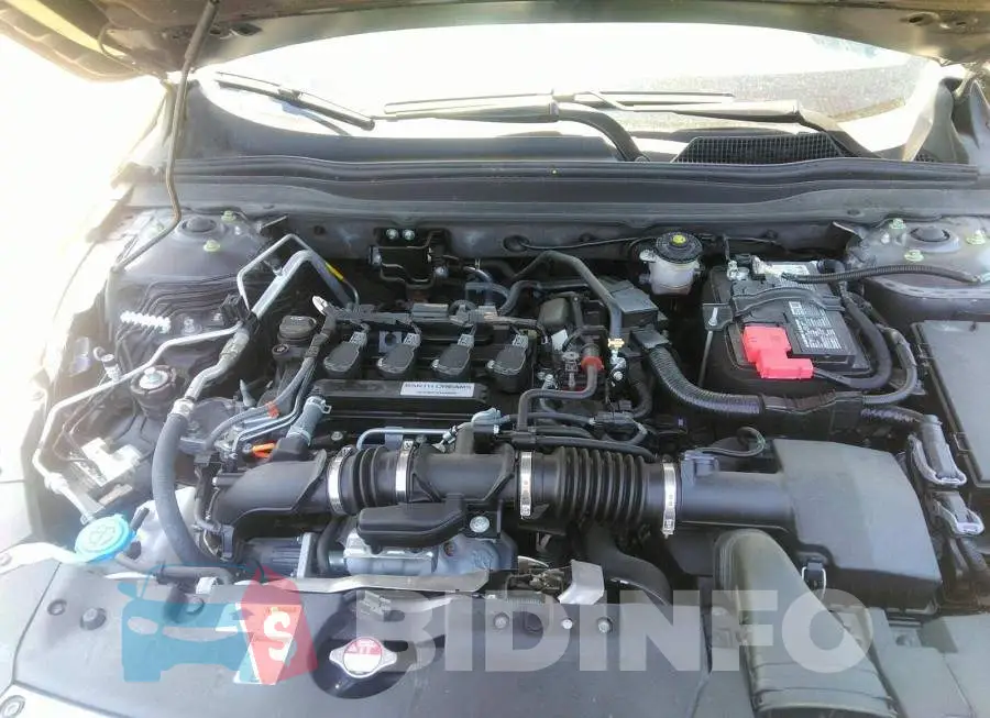 1HGCV1F56KA803935 Photo# 10