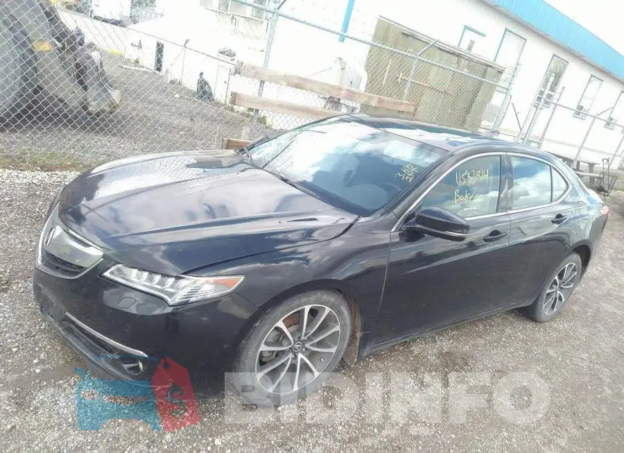 19UUB3F76FA802025 Photo# 2