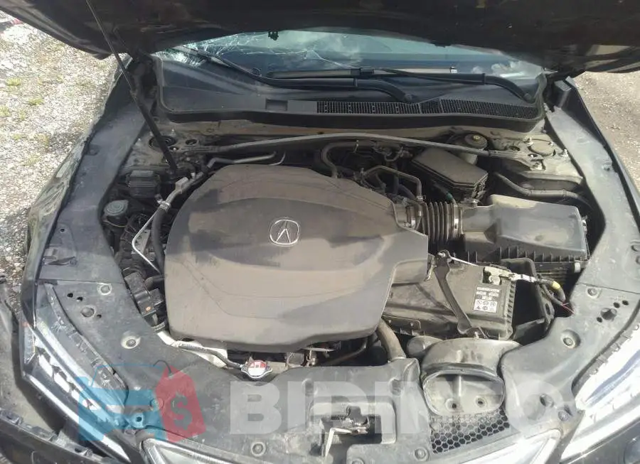 19UUB3F76FA802025 Photo# 10